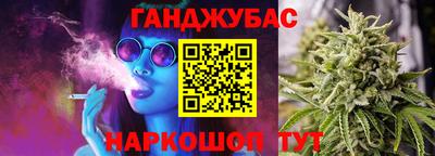 шишки Гагарин