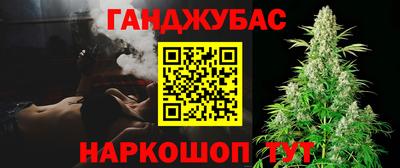 шишки Гагарин