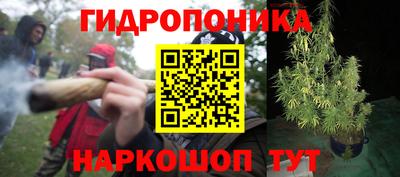 шишки Гагарин