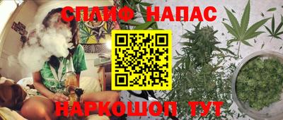 шишки Гагарин