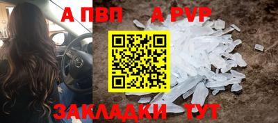 шишки Гагарин