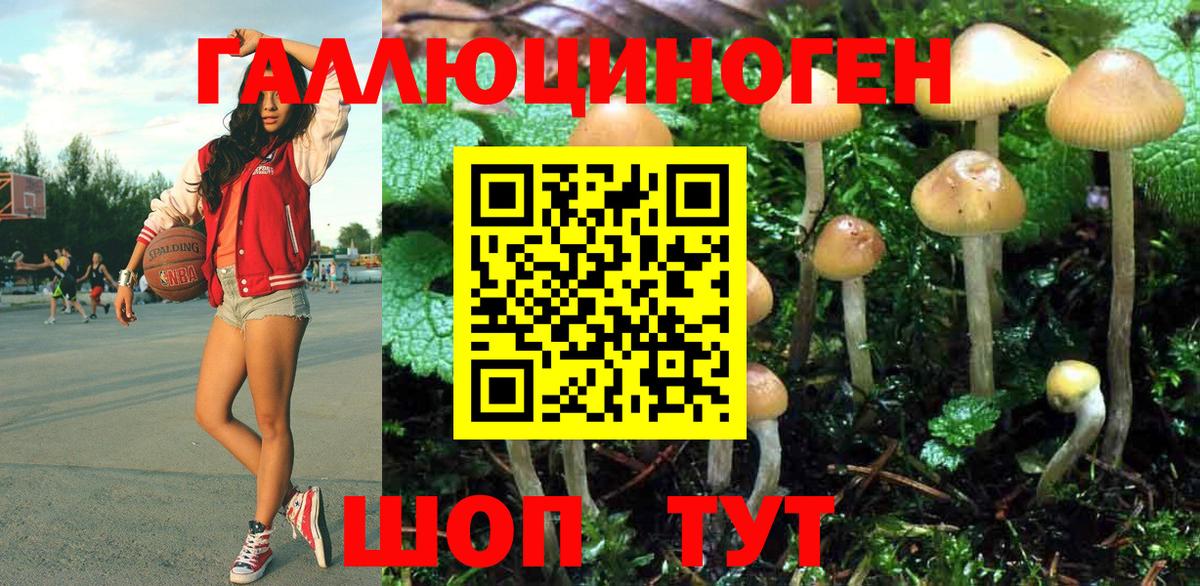 Бердск  Галлюциногенные грибы мицелий  Вход с VPN 
