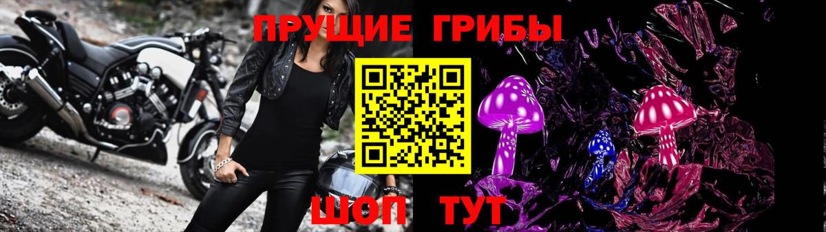 Галлюциногенные грибы Psilocybe Бердск